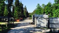 Продается бизнес по сушке древесины